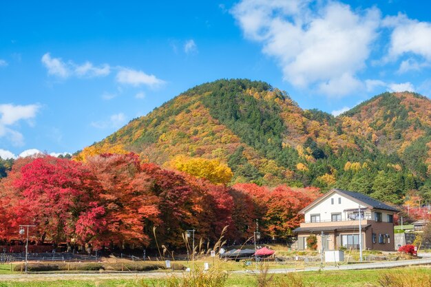 カエデの木の回廊と後部の山がカラフルな夢の家