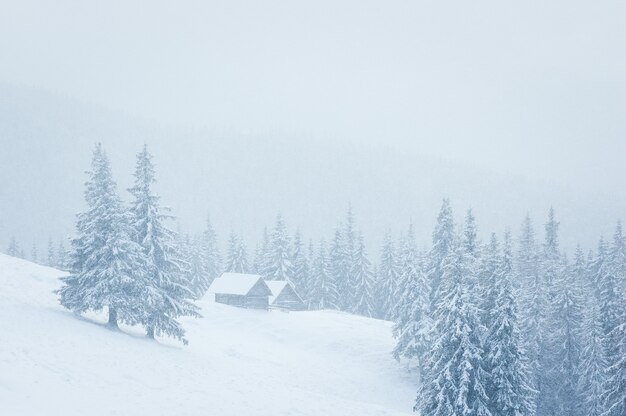 雪の中で山の家と夢のような冬の風景。トウヒの森の霧。霜に覆われた木