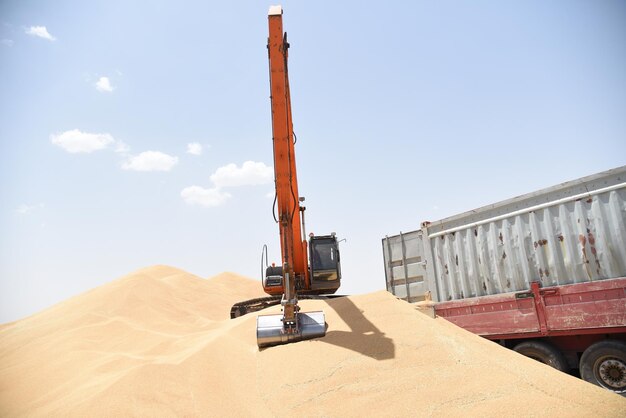 Photo dredger machine loading trucks