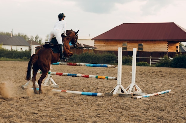 Dressurehond en ruiter in uniform tijdens een paardenspringwedstrijd