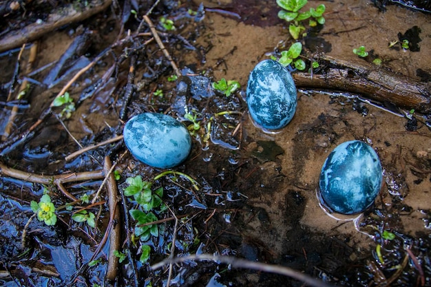 Foto drie beschilderde eieren in bronwater