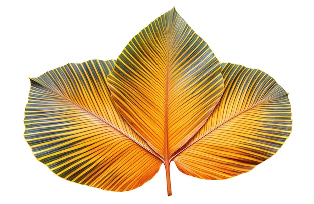Drie exotische tropische bladeren Generatieve AI