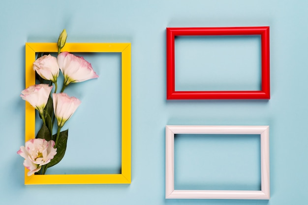 Drie gekleurde frames met bloemen