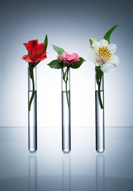 Drie glazen reageerbuizen met verschillende bloemen in de rij staan op een grijze achtergrond met vignet
