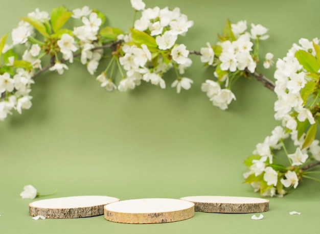 Foto drie houten platforms met kopierruimte voor de presentatie van producten op groene achtergrond