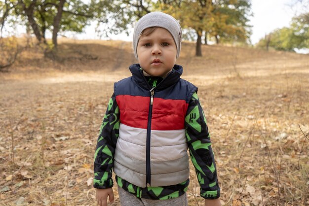 Drie jaar oude jongen buitenshuis portret. Peuterjongen die in een park loopt. Leuke jongen in fleecejack en mouwloos jerkin op kamperen in een bos