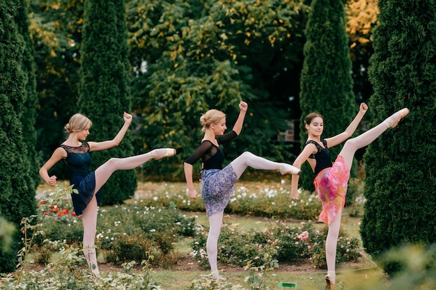 Drie moderne vrouwelijke balletdansers die in de zomerpark stellen.