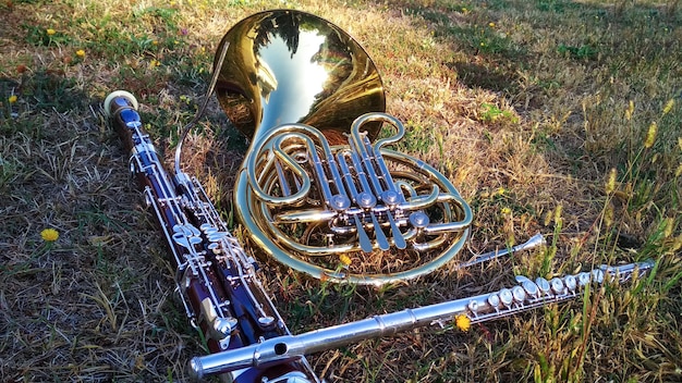 Foto drie muziekinstrumenten hoorn fagot fluit op het gras