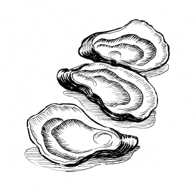 Drie oesters. Inkt zwart-wit tekening