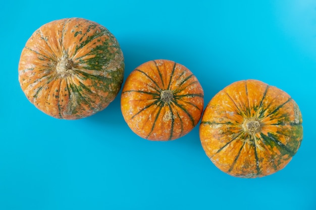 Drie rijpe mooie pompoenen op blauw