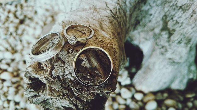 Foto drie ringen op drijvend hout