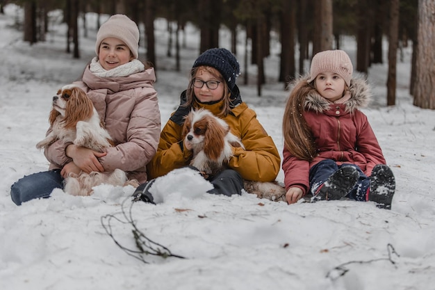 Drie schattige jonge meisjes die samen plezier hebben door een prachtig bevroren parkbos Leuke zussen spelen in een sneeuw met een hond