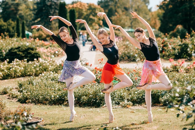 Drie sierlijke balletdansers poseren en dansen in de zomer prachtig park