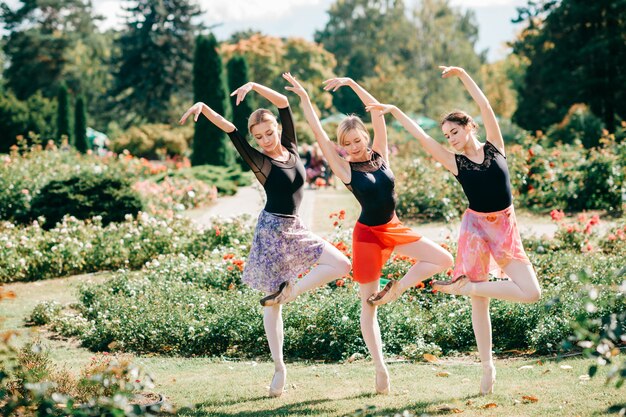 Drie sierlijke balletdansers poseren en dansen in de zomer prachtig park