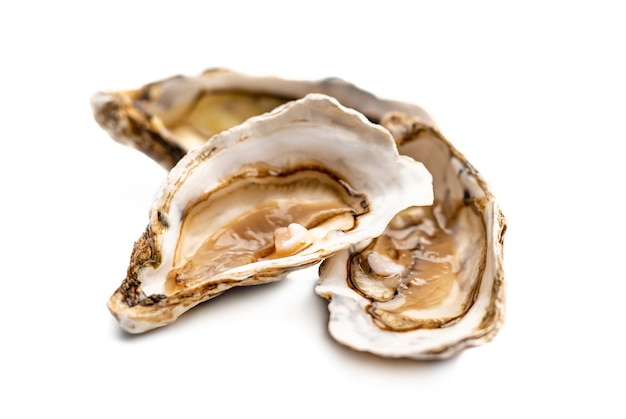 Drie verse delicatessen rauwe oesters geïsoleerd op een witte ondergrond