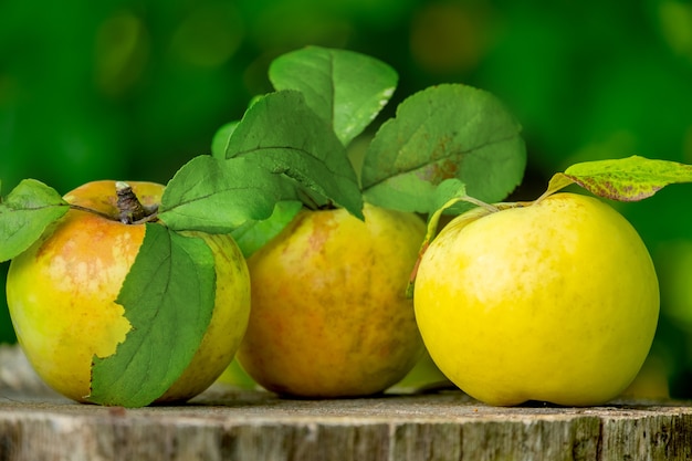 Drie verse groene appels met bladeren op een houten plank, close-up