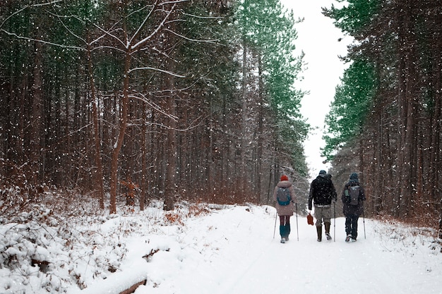 Drie vrienden die genieten van een wandeling in de wildernis