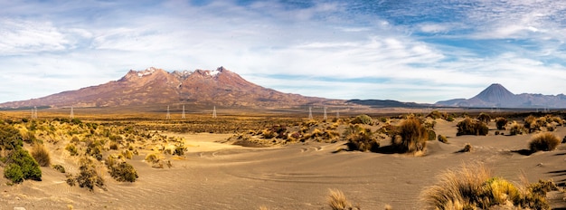 Drie vulkanen in de woestijnweg op het centrale plateau van NZ