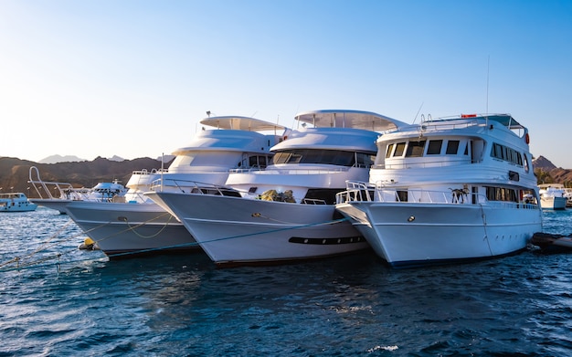 Drie witte jachten op de zee