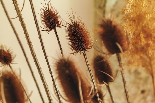 Dried autumn flowers bouquet at home close up