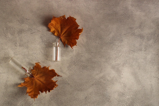 Dried autumn maple leaf in a glass bottle on a grey background