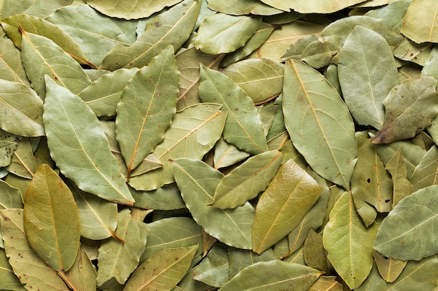 dried bay leaf  texture 