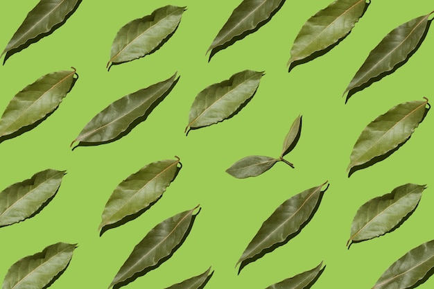 Photo dried bay leaves on green background