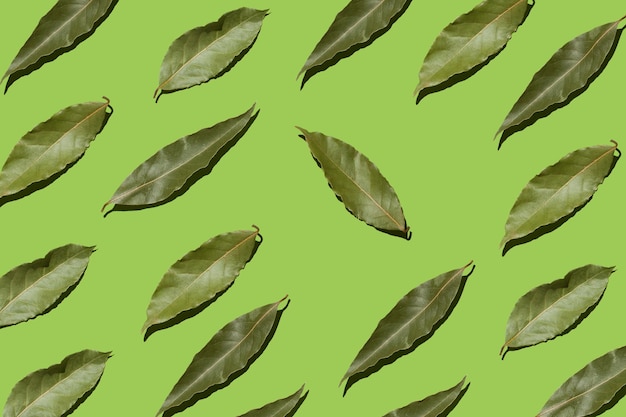 Dried bay leaves on green background
