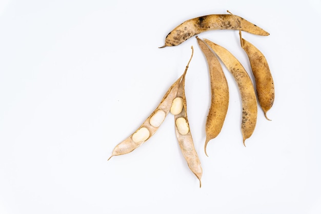 Dried beans isolated on white background bean pods High quality photo