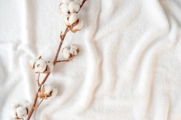 Foto ramo secco di pianta di cotone con fiori su morbido asciugamano bianco eleganza spazio per il testo