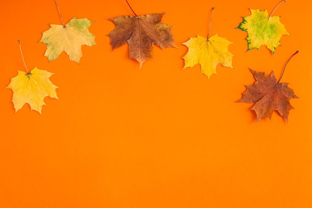 Foglie di autunno luminose secche sul tavolo arancione