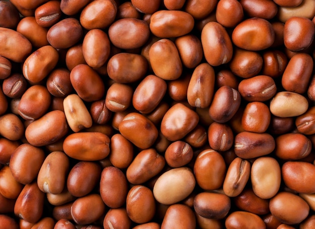 Dried brown beans background The view from top