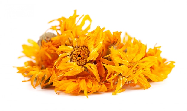 Fiori secchi della calendula isolati su bianco