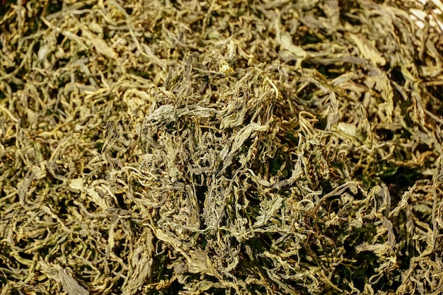 Dried cannabis branchesflowersleavescloseup background