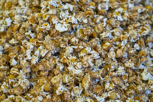 Dried chamomile flowers close up