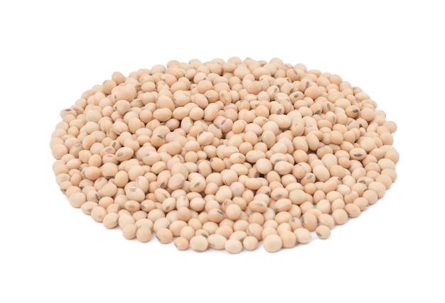 Dried Chick Pea