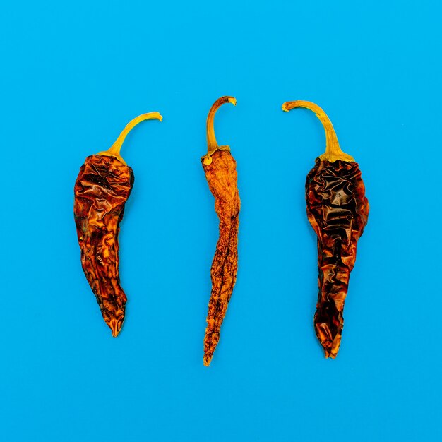 Dried Chile pepper. Minimal art design