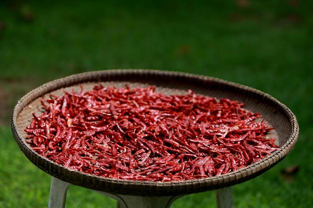 Dried chili outdoors raw for cooking