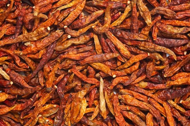 Dried chili with close up shot,top view.