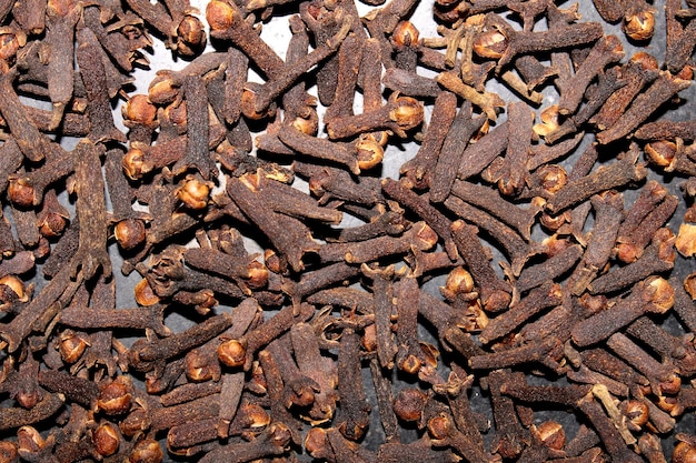 Dried Cloves on the Ground