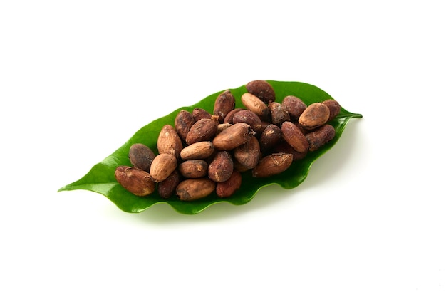 Dried cocoa beans on cocoa leaves