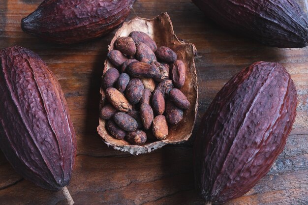 Dried cocoa beans and dried cocoa beans