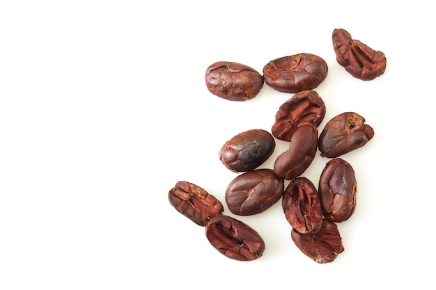 Dried cocoa beans isolated on white background