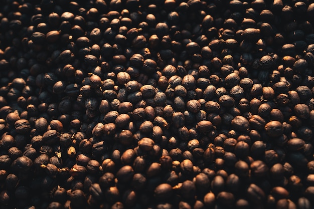 Dried coffee,Parchment coffee Dry in the Bamboo house