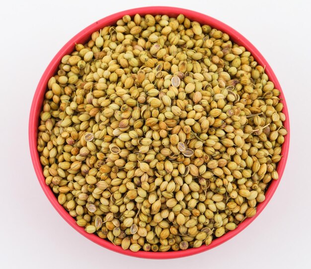 Dried Coriander Seed