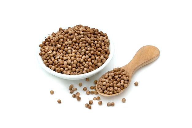 dried coriander seeds in ceramic bowl with wooden spoon isolated on white background