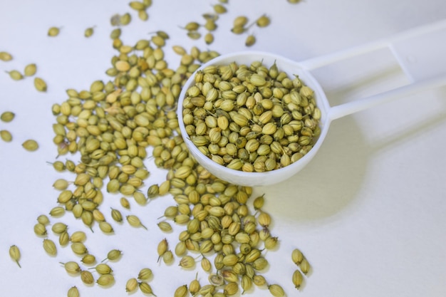 Dried coriander seeds on white spoon