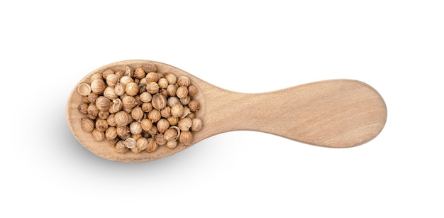 сушеные семена кориандра в деревянной ложке, выделенные на белом фоне, включают путь обрезки