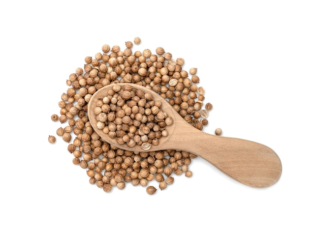 dried coriander seeds in wooden spoon isolated on white background