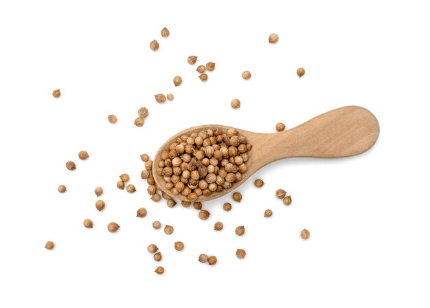 dried coriander seeds in wooden spoon isolated on white background